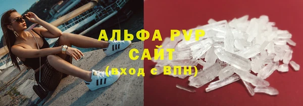 ПСИЛОЦИБИНОВЫЕ ГРИБЫ Пересвет