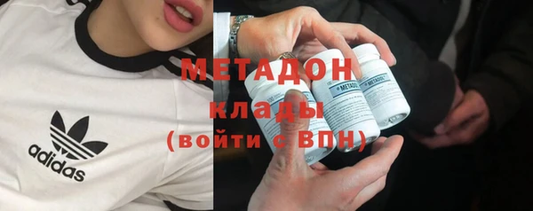 ПСИЛОЦИБИНОВЫЕ ГРИБЫ Пересвет