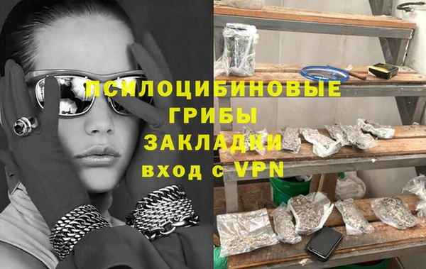 ПСИЛОЦИБИНОВЫЕ ГРИБЫ Пересвет