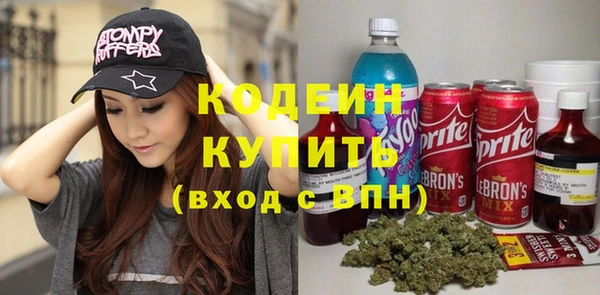 ПСИЛОЦИБИНОВЫЕ ГРИБЫ Пересвет