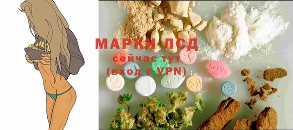 ПСИЛОЦИБИНОВЫЕ ГРИБЫ Пересвет