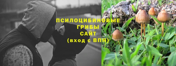каннабис Покачи
