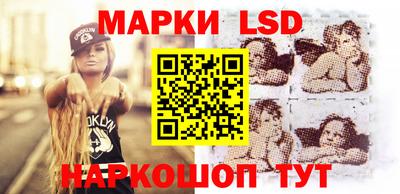 прущие грибы Апшеронск