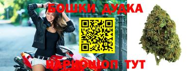 прущие грибы Апшеронск