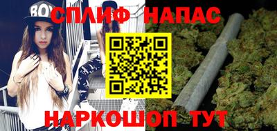 прущие грибы Апшеронск