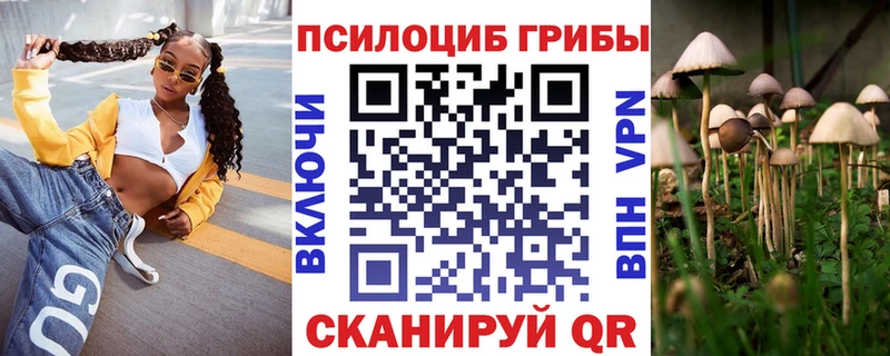 как найти   сайты даркнета Telegram  Галлюциногенные грибы Cubensis  Асбест 