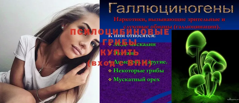 купить   Асбест  Псилоцибиновые грибы прущие грибы 