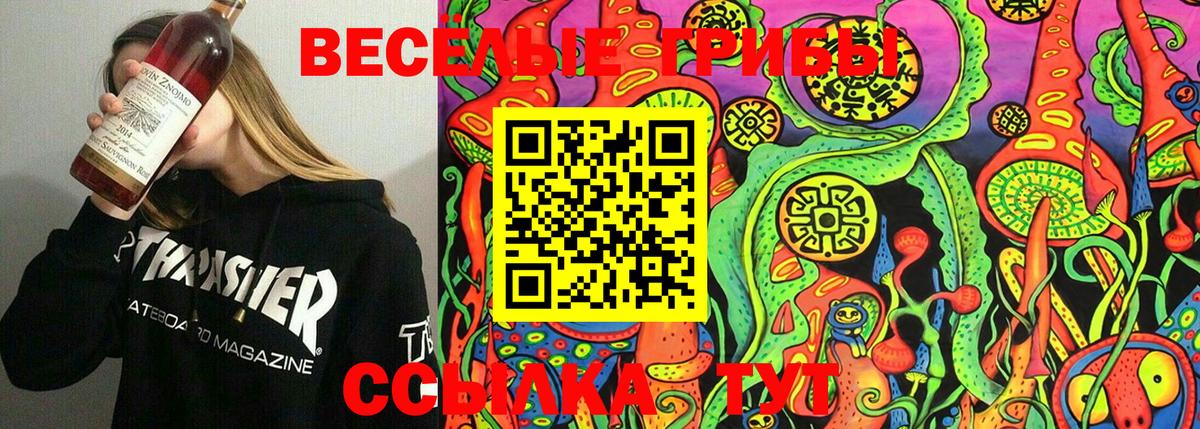 Галлюциногенные грибы ЛСД Асбест