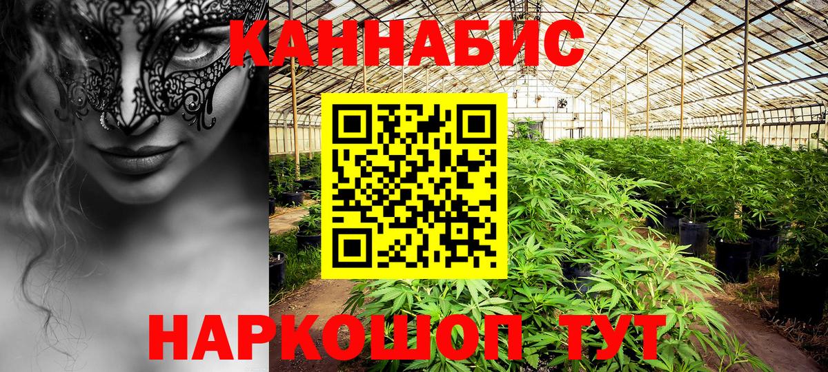 Бошки Шишки индика  МАРИХУАНА сатива  Асбест  Бошки Шишки AK-47  Вход с VPN 